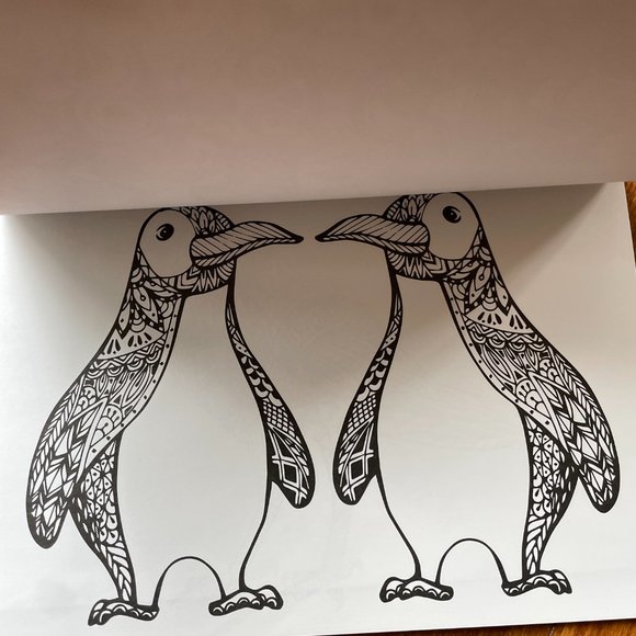 NEW Everyone Loves Coloring Birds Adult Coloring Book by Bendon Publishing - Picture 5 of 10